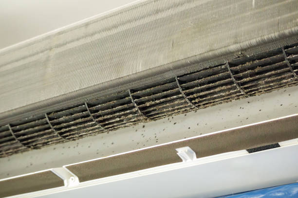 Best Affordable HVAC Duct Cleaning  in Stanton, TX
